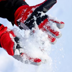 Ski Gloves
