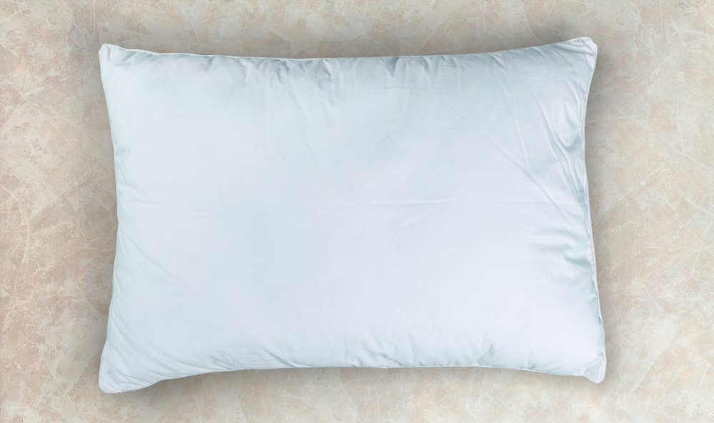 Cushion <span class="product-clor">(Large)</span>