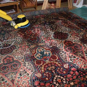 1 Library Room Carpet - Unfurnished